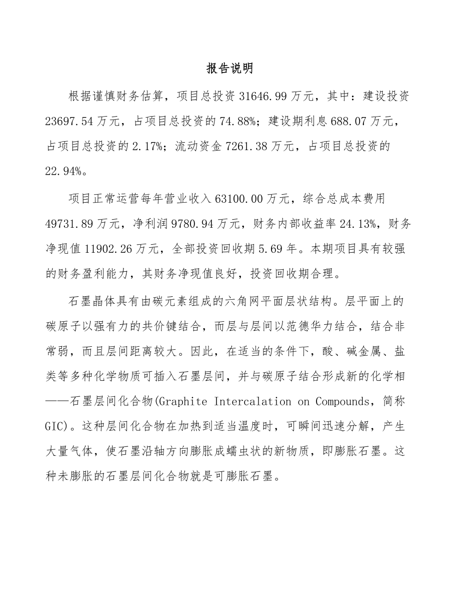 可膨胀石墨项目可行性研究报告.docx_第2页