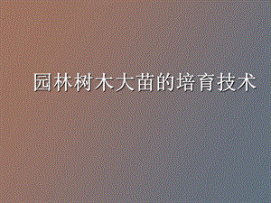 园林树木大苗的培育技术.ppt