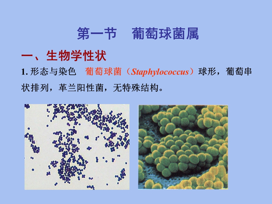 医学微生物章.ppt_第3页