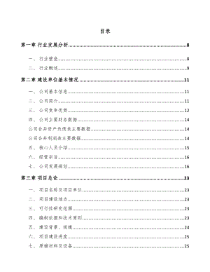 吉安智能控制器项目可行性研究报告.docx