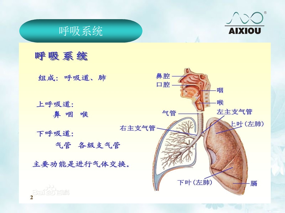 排痰机简介临床版.ppt_第3页