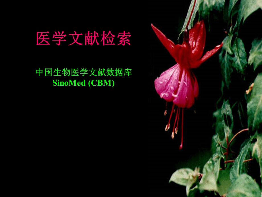 医学文献检索中国生物医学文献数据库CBM介绍.ppt_第1页