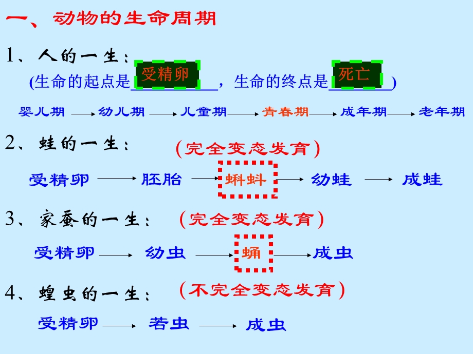 代代相传的生命复习.ppt_第2页