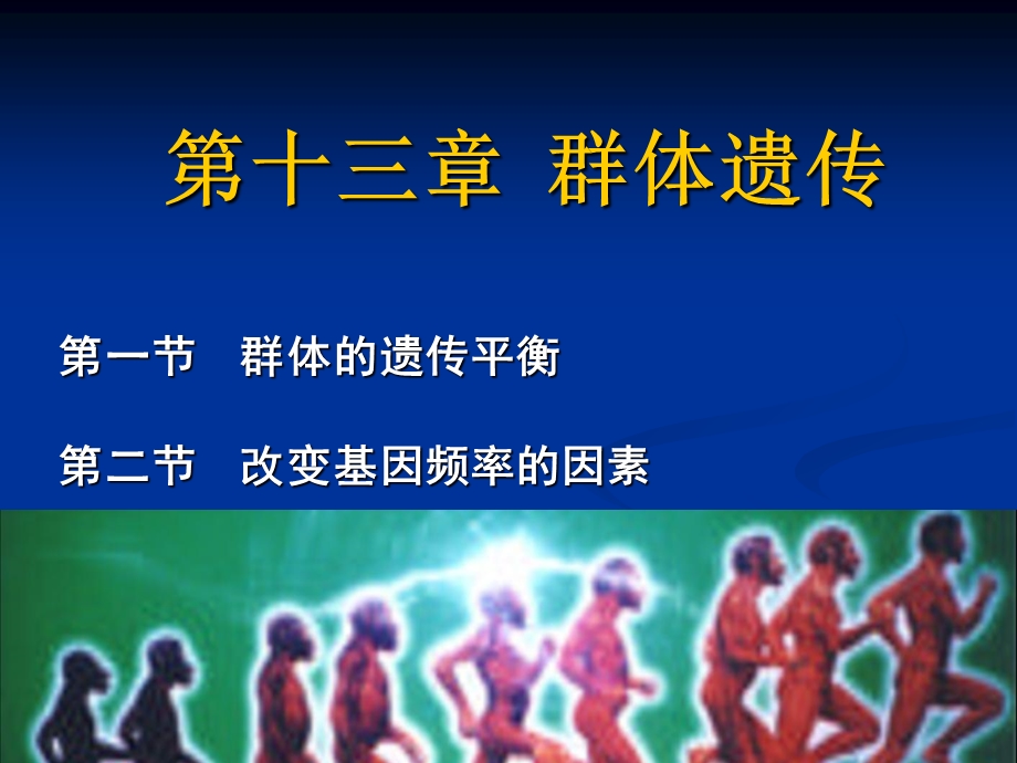 第十三群体遗传与进化第十三群体遗传.ppt_第1页