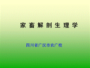 家畜解剖生理学.ppt