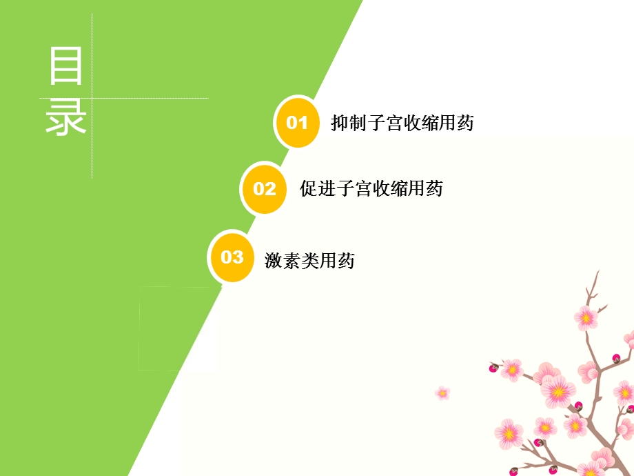 妇科常用专科用药.ppt_第2页