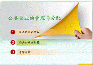 公共企业的管理与分配.ppt