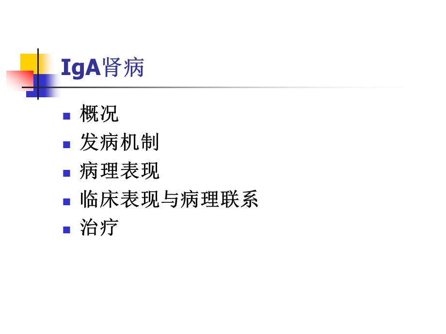 IgA肾病的发病机制、临床与病理.ppt_第2页