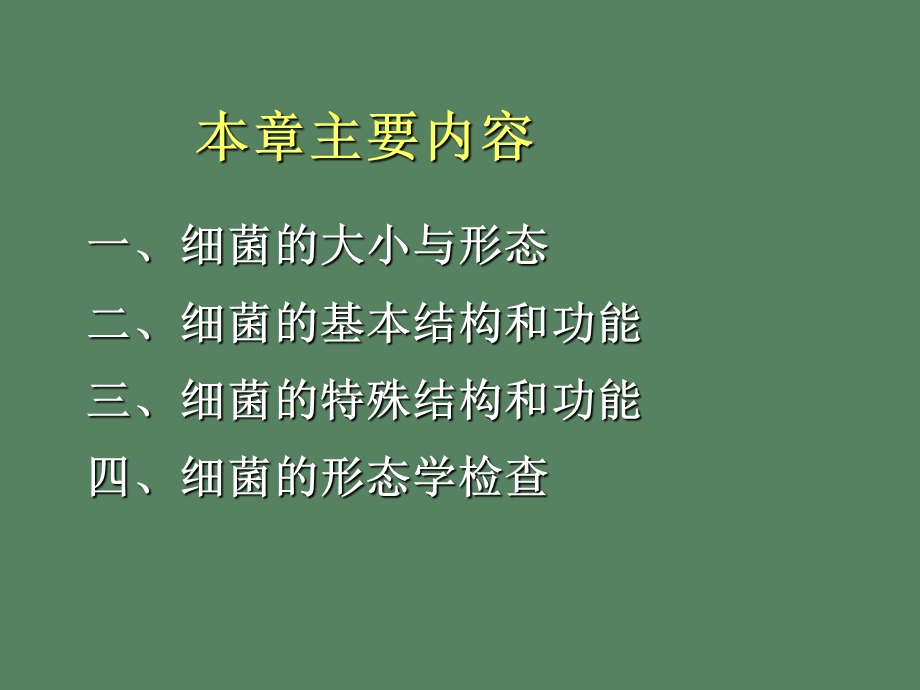 医学微生物学细菌形态结构.ppt_第2页