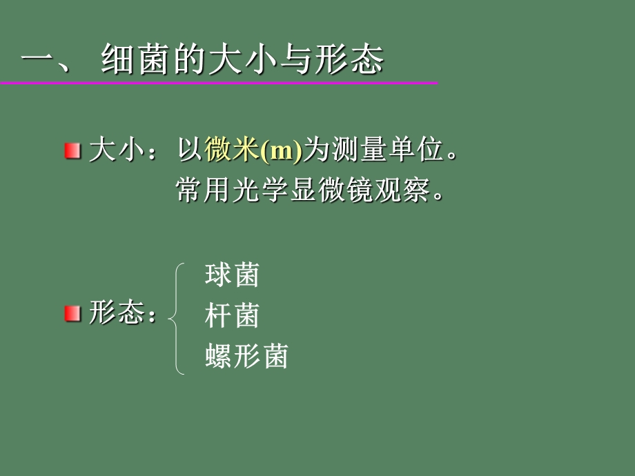 医学微生物学细菌形态结构.ppt_第3页