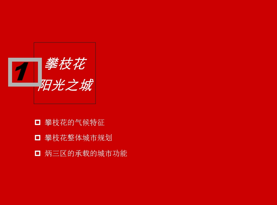 攀枝花某项目营销战略报告101215 121页.ppt_第2页