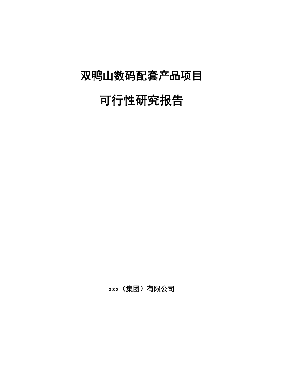 双鸭山数码配套产品项目可行性研究报告.docx_第1页