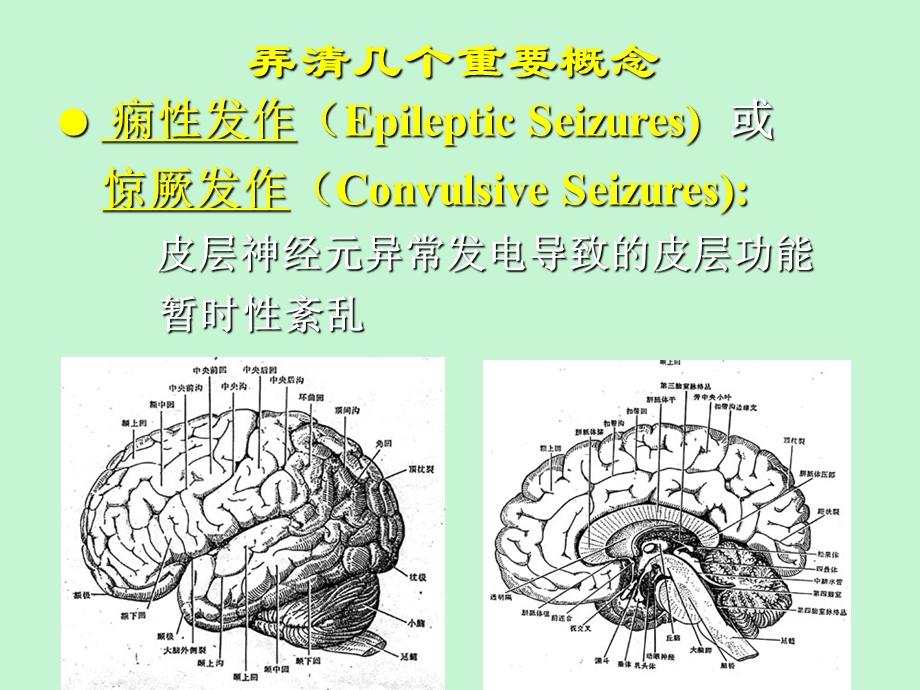 小儿急性症状性惊厥.ppt_第2页