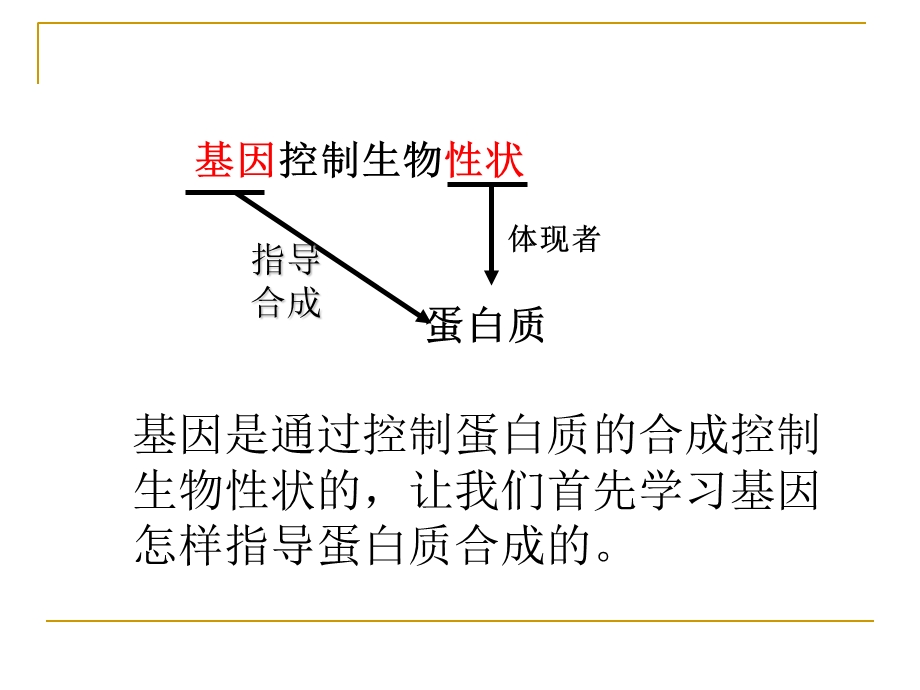 基因指导蛋白质的合成使用完成.ppt_第3页