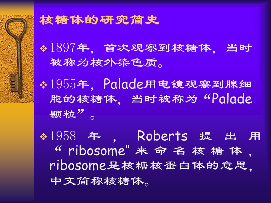 医学细胞生物学-第六章核糖体.ppt_第2页