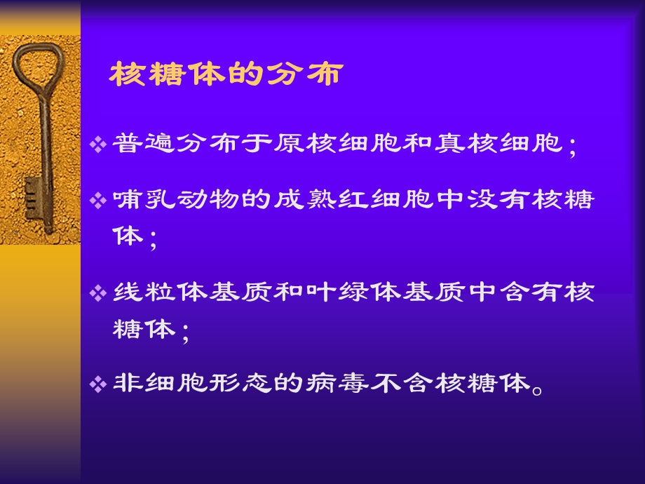 医学细胞生物学-第六章核糖体.ppt_第3页