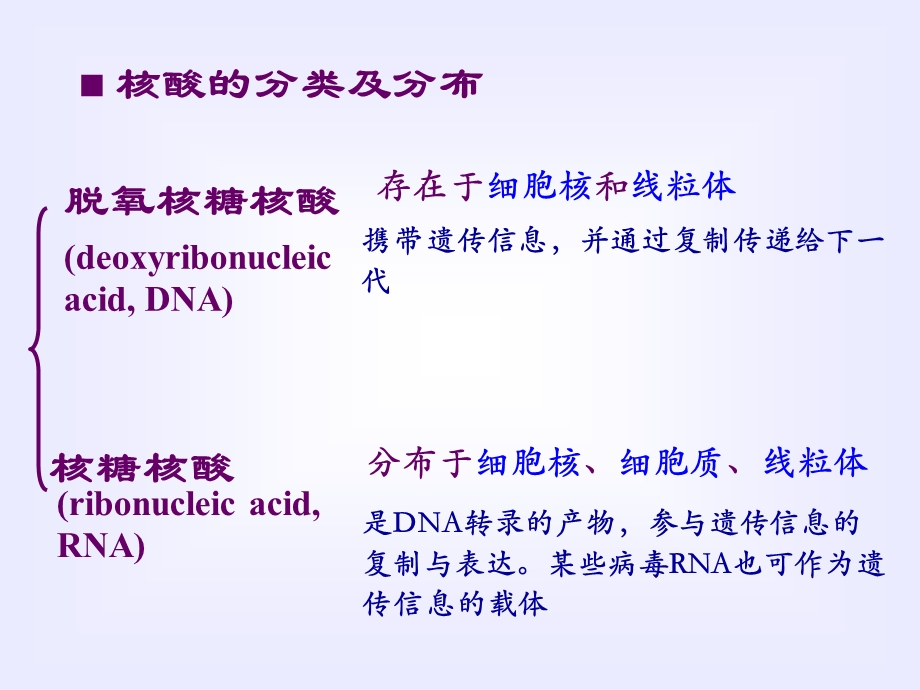 第章核酸的结构与功能.ppt_第3页