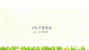 大队干部竞选ppt.ppt