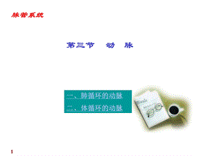 第章心血管系统动脉ppt课件.ppt