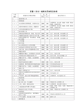 质量安全通病处罚细则及标准.doc