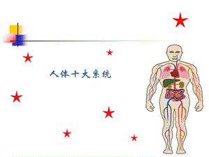 体十大系统功能及营.ppt