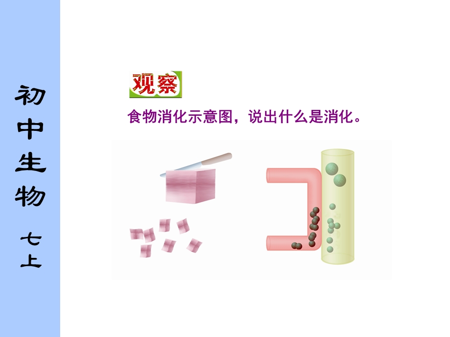 体对食物的消化吸收.ppt_第2页