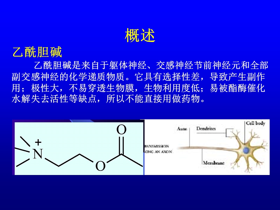 拟胆碱药和抗胆碱药.ppt_第3页