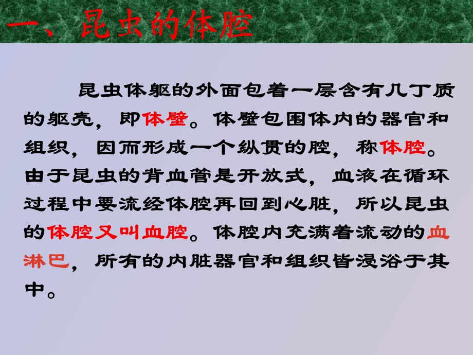 园艺虫害防治.ppt_第2页