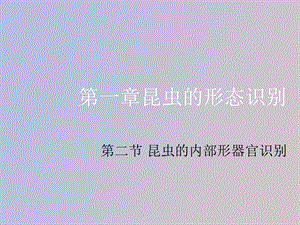 园艺虫害防治.ppt