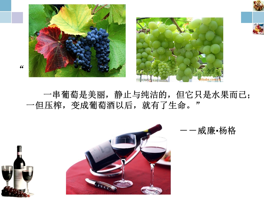 学习版葡萄酒ppt.ppt_第2页