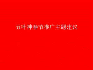 叶神春节推广主题建议.ppt