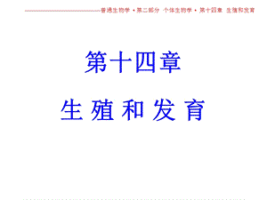 第十四章生殖和发育.ppt