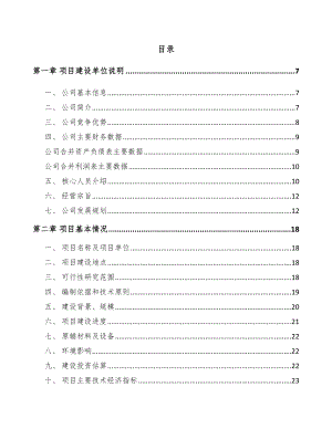 合肥主板项目可行性研究报告.docx