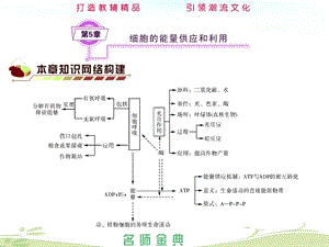 第章细胞的能量供应和利用.ppt