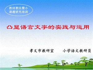 凸显语言文字的实践与运用.ppt