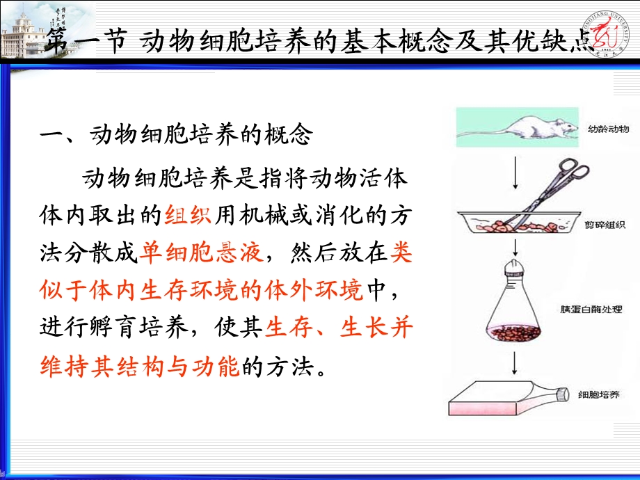 细胞工程第六章.ppt_第3页