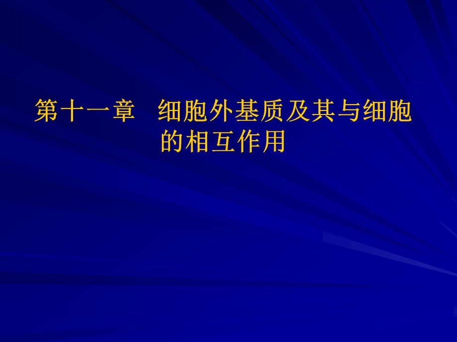 细胞外基质及其与细胞的相互作用.ppt_第1页