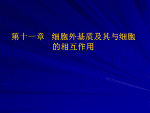 细胞外基质及其与细胞的相互作用.ppt