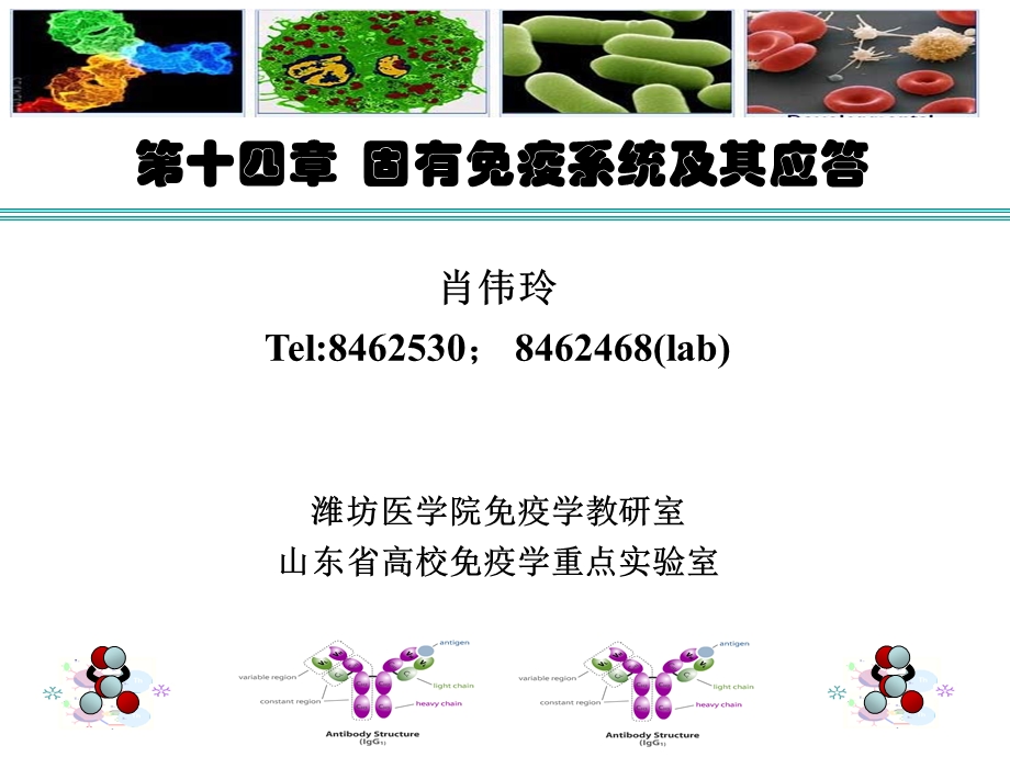 医学免疫学-第十四章.ppt_第1页