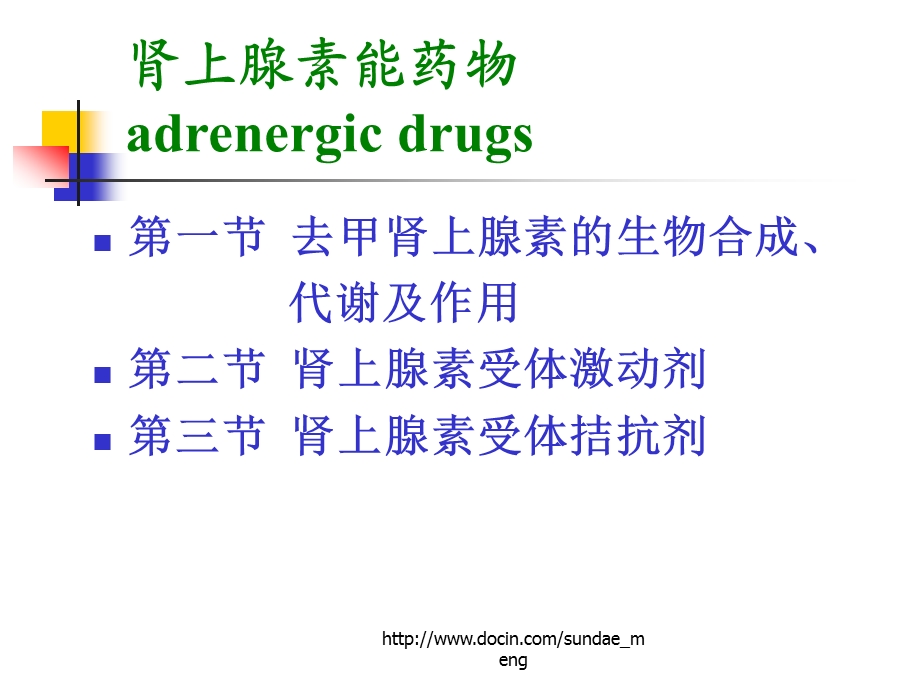 【大学课件】肾上腺素能药物.ppt_第2页