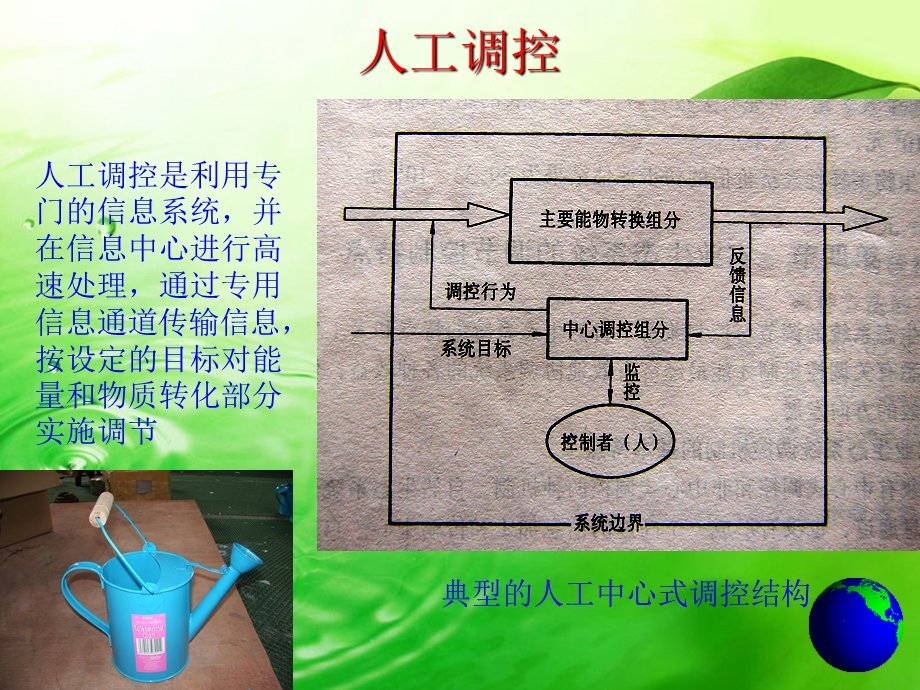 园林生态学-园林生态系统的调控与生态平衡.ppt_第2页