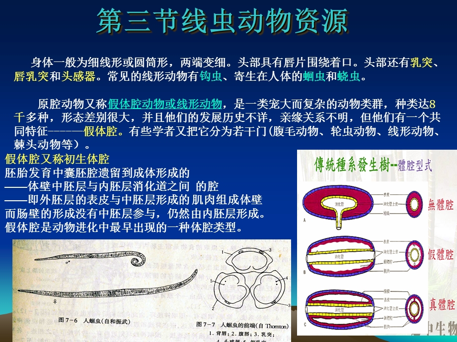 线虫动物资源.ppt_第1页