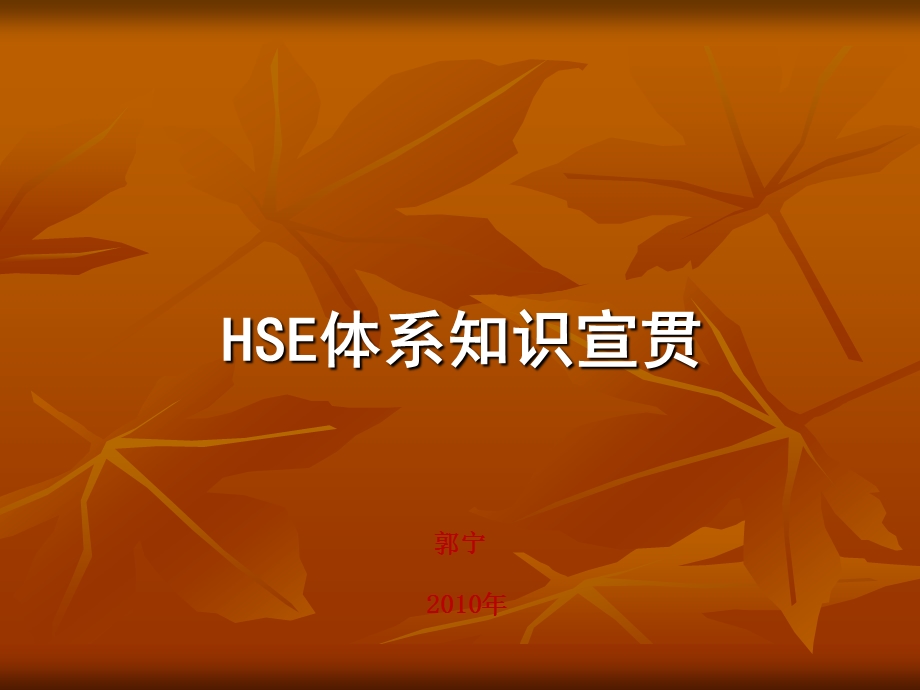 HSE体系知识宣贯压制.ppt_第1页