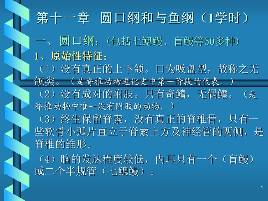 圆口纲和与鱼纲1学时.ppt_第1页