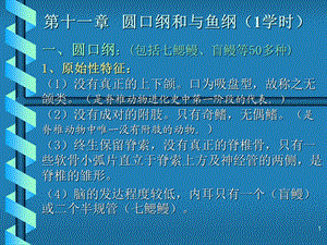 圆口纲和与鱼纲1学时.ppt