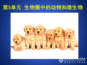 动物的运动方式第一课时.ppt