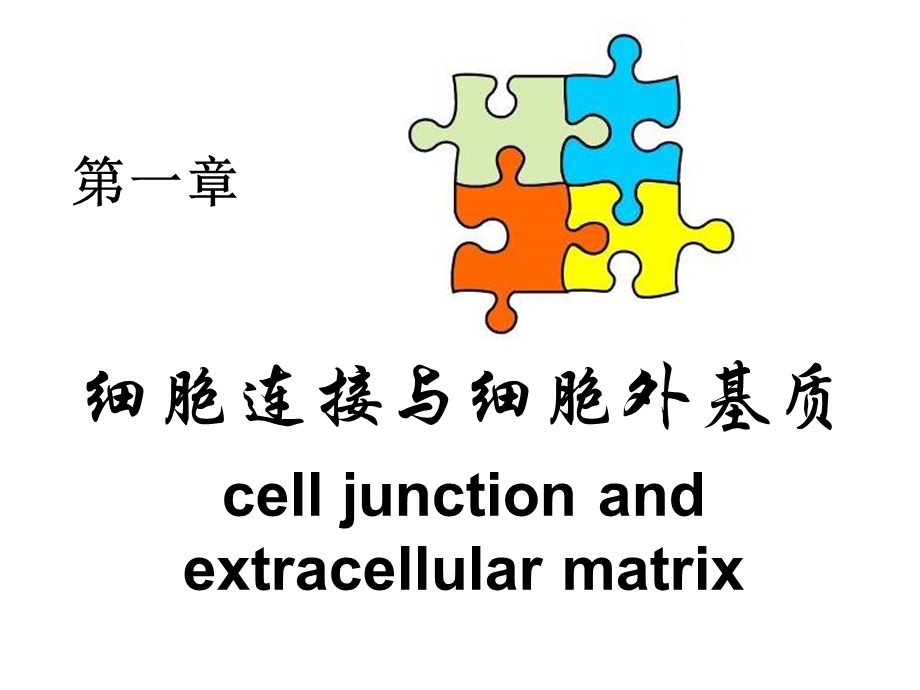 细胞信号转导1.ppt_第3页