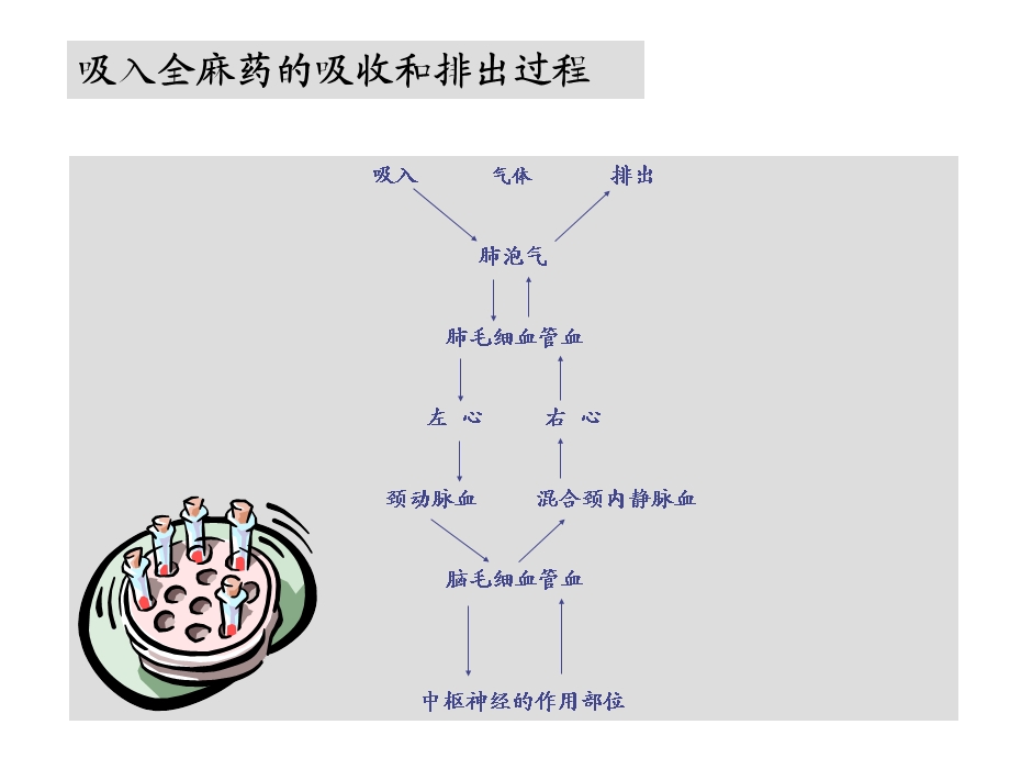 低流量吸入麻醉.ppt_第3页