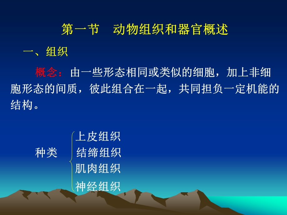 第四多细胞动物导论.ppt_第2页