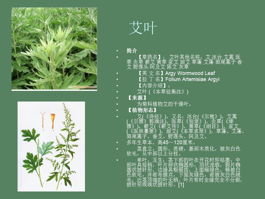 园林植物分析.ppt_第2页